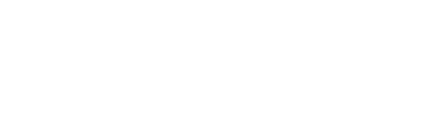Pulsee HACK